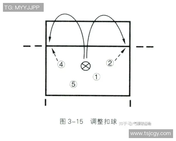 上海排球队快攻战术深度解析与实战应用探讨